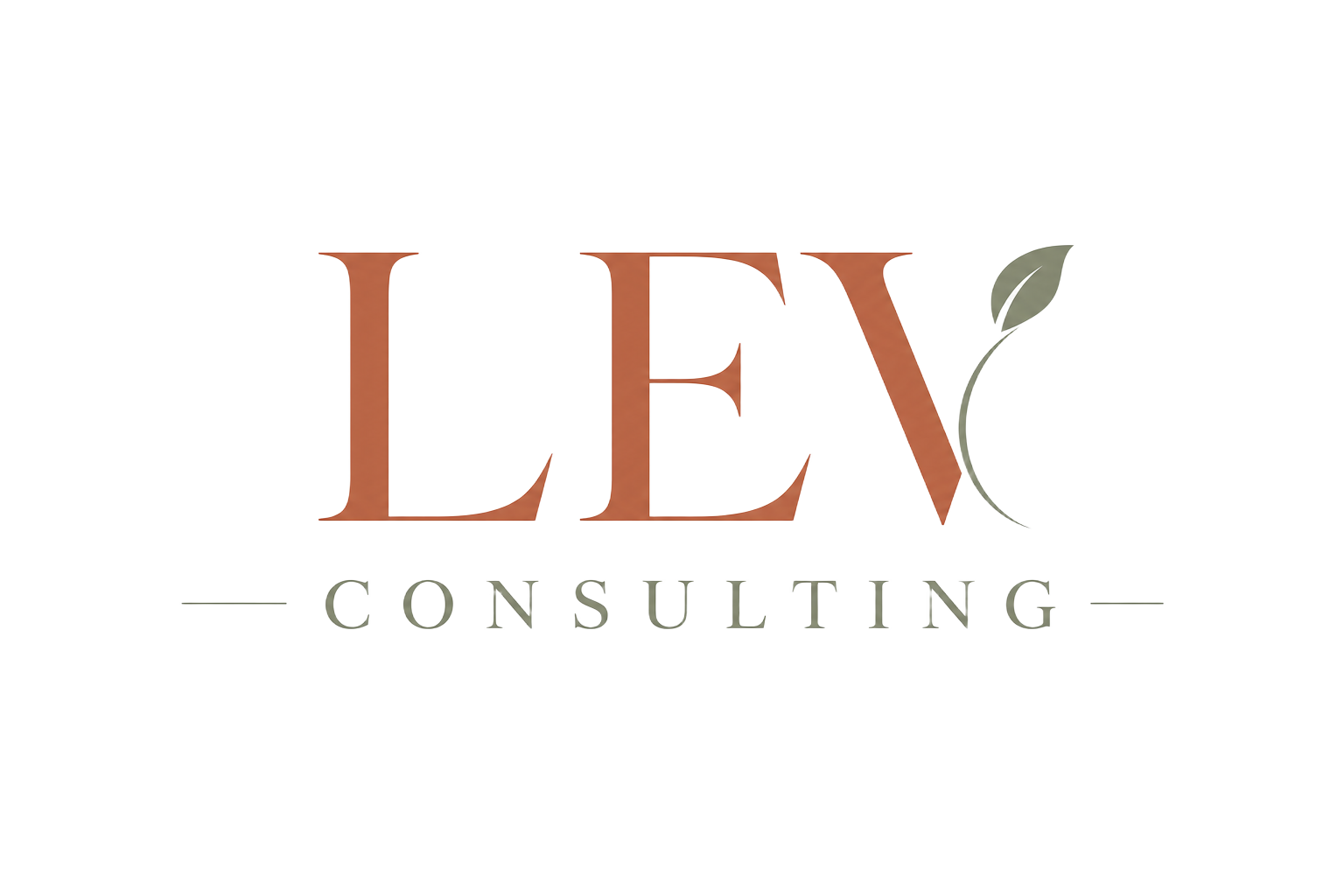 LEV Consulting